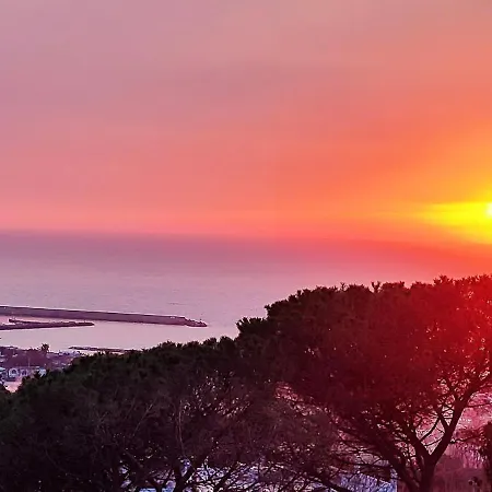 Antonietta Ischia